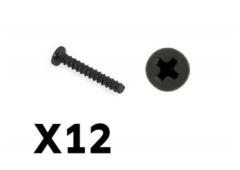 FTX FTX9755 Tracer pan head self tapping screws pbho 2x12mm (12pcs)